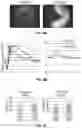 Fig. 06 - Methods and compositions for treating cone-rod retinal dystrophy