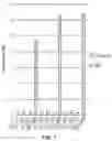 Fig. 10 - Methods and compositions for treating cone-rod retinal dystrophy