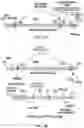 Fig. 14 - Methods and compositions for treating cone-rod retinal dystrophy