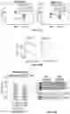 Fig. 20 - Methods and compositions for treating cone-rod retinal dystrophy