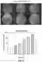 Fig. 26 - Methods and compositions for treating cone-rod retinal dystrophy