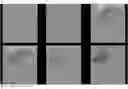 Fig. 01 - ORGAN DIRECTED GENE DELIVERY
