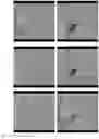 Fig. 08 - ORGAN DIRECTED GENE DELIVERY