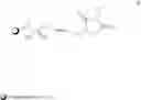 Fig. 09 - RADIOLABELLED OLIGONUCLEOTIDES AND PROCESS FOR THEIR PREPARATION