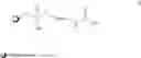 Fig. 13 - RADIOLABELLED OLIGONUCLEOTIDES AND PROCESS FOR THEIR PREPARATION