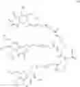 Fig. 49 - RADIOLABELLED OLIGONUCLEOTIDES AND PROCESS FOR THEIR PREPARATION