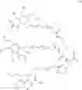 Fig. 50 - RADIOLABELLED OLIGONUCLEOTIDES AND PROCESS FOR THEIR PREPARATION