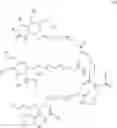 Fig. 51 - RADIOLABELLED OLIGONUCLEOTIDES AND PROCESS FOR THEIR PREPARATION