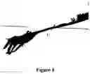 Fig. 04 - Wound dressing