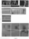 Fig. 04 - Scalable three-dimensional elastic construct manufacturing