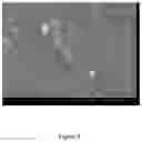 Fig. 07 - Scalable three-dimensional elastic construct manufacturing