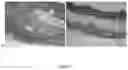 Fig. 08 - Scalable three-dimensional elastic construct manufacturing