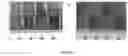 Fig. 09 - Scalable three-dimensional elastic construct manufacturing
