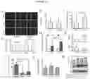Fig. 17 - Biocompatible hydrogel compositions and uses thereof