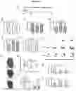 Fig. 19 - Biocompatible hydrogel compositions and uses thereof