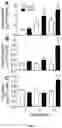 Fig. 02 - EXTRACELLULAR MATRIX AND ITS USE FOR REGULATING THE DIFFERENTIATION OF MESENCHYMAL STEM CELLS