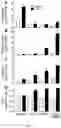 Fig. 05 - EXTRACELLULAR MATRIX AND ITS USE FOR REGULATING THE DIFFERENTIATION OF MESENCHYMAL STEM CELLS