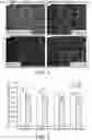 Fig. 02 - Multi-layer skin substitute products and methods of making and using the same
