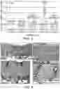 Fig. 03 - Multi-layer skin substitute products and methods of making and using the same