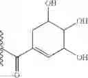 Fig. 11 - Rapamycin 40-O-cyclic hydrocarbon esters, compositions and methods
