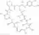 Fig. 13 - Rapamycin 40-O-cyclic hydrocarbon esters, compositions and methods