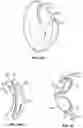 Fig. 37 - BREAST PUMP ASSEMBLY