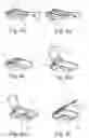 Fig. 07 - Assembly for dispensing a liquid comprising an apparatus and a compressible bag