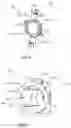 Fig. 04 - Plunger and drug delivery device