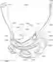 Fig. 01 - Oro-nasal patient interface