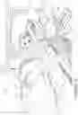 Fig. 04 - Oro-nasal patient interface