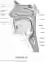 Fig. 06 - Oro-nasal patient interface