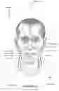 Fig. 07 - Oro-nasal patient interface