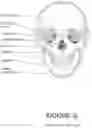 Fig. 12 - Oro-nasal patient interface
