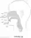 Fig. 29 - Oro-nasal patient interface