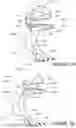 Fig. 71 - Oro-nasal patient interface