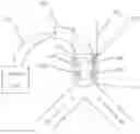 Fig. 01 - Inspiratory synthesis of nitric oxide