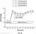 Fig. 26 - Inspiratory synthesis of nitric oxide
