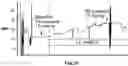 Fig. 35 - Inspiratory synthesis of nitric oxide