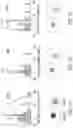 Fig. 16 - Software and methods for controlling neural responses in deep brain regions