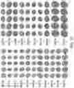 Fig. 19 - Software and methods for controlling neural responses in deep brain regions