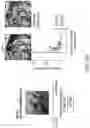 Fig. 28 - Software and methods for controlling neural responses in deep brain regions