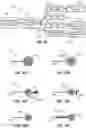 Fig. 52 - Iconic Representations Relating to Systems for Placing a Medical Device