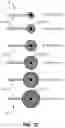 Fig. 54 - Iconic Representations Relating to Systems for Placing a Medical Device