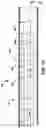 Fig. 03 - Catheter including contractible electroactive elements