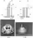 Fig. 06 - Microneedle for local delivery of therapeutic agent