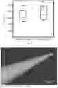 Fig. 13 - Microneedle for local delivery of therapeutic agent