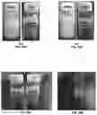 Fig. 17 - METHOD AND APPARATUS FOR ELECTROCHEMICAL DEWATERING OF SUSPENSIONS OF CELLULOSIC NANOMATERIALS