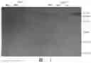 Fig. 02 - Binding unit targeting fibroblast activation protein α and application thereof