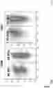 Fig. 07 - Activation of APC in immunotherapy