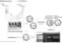 Fig. 01 - FUNCTIONAL METAGENOMICS